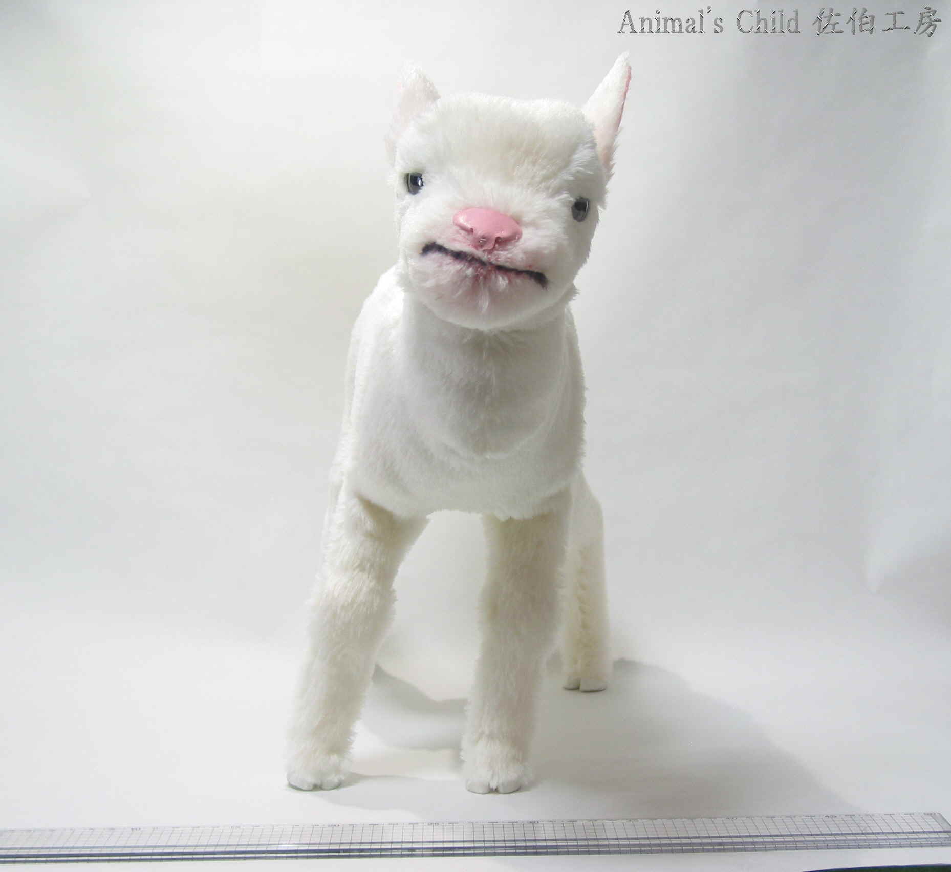 �R�r�O�O�Q