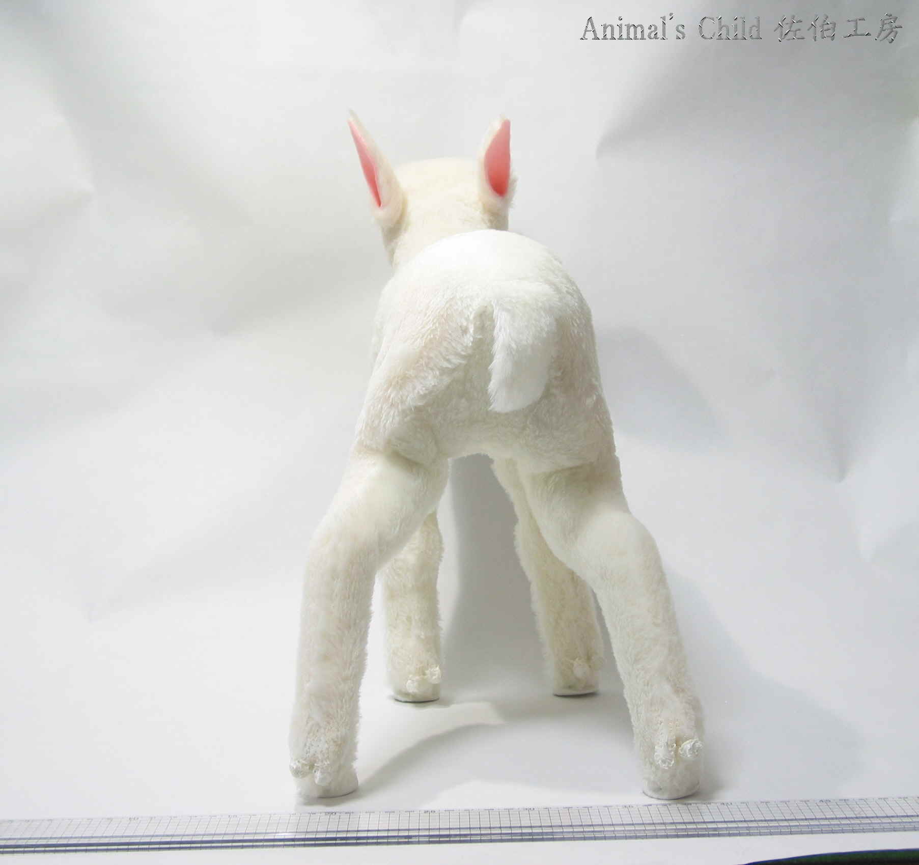 �R�r�O�O�R